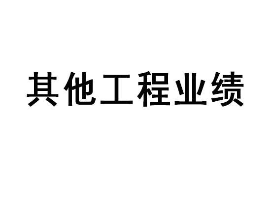 其他工程业绩